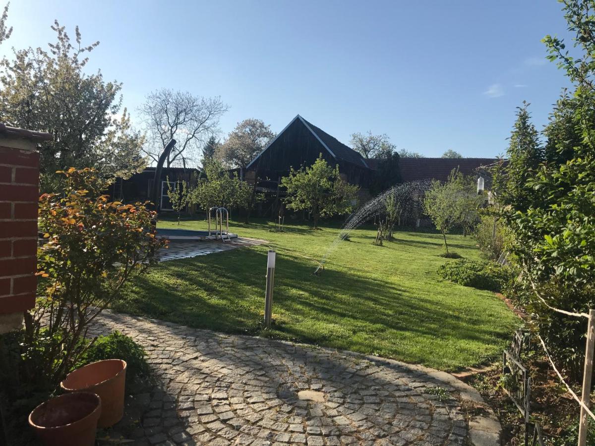 Helle, Offene Dachgeschosswohnung Mit Terrasse Oberloisdorf Exterior foto